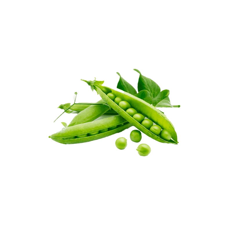 Product gallery 749